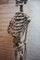 Modelo de esqueleto anatómico médico didáctico vintage, Alemania, 1959, Imagen 3