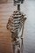 Vintage Didactic Medical Anatomic Skeleton Model, Germany, 1959, Image 3