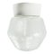 Vintage White Porcelain Frosted Glass Ceiling Lamps, Image 1