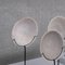 Seabed Found Bowls on Mounted on Custom Stands, Set of 5 7