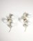 Metal Wall Lamps and Opal Glass in the style of Sergio Terzani, Italy, 1970s, Set of 2, Image 1