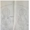 Lithographies Vintage of a 1777 Violine, a 1580s Cello and a 1730s Cello par Clarissa Bruce & Richard Valencia pour The Strad, Set de 3 11