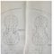 Vintage Lithographs of a 1777 Violine, a 1580s Cello and a 1730s Cello by Clarissa Bruce & Richard Valencia for The Strad, Set of 3 11