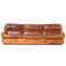 3-Seater Lounge Sofa in Thick Cognac Buffalo Leather, 1970s 2