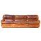 3-Seater Lounge Sofa in Thick Cognac Buffalo Leather, 1970s, Image 2