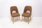 Mid-Century Dining Chairs attributed to Radomír Hofman for Thonet, 1960s, Set of 2 3