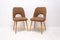 Mid-Century Dining Chairs attributed to Radomír Hofman for Thonet, 1960s, Set of 2 2