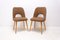 Mid-Century Dining Chairs attributed to Radomír Hofman for Thonet, 1960s, Set of 2, Image 2