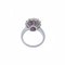 14 Karat White Gold Ring with Ruby & Diamonds, 1970s, Image 3