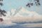 Artista sconosciuto, Paesaggi di montagna, Dipinti ad olio su cartoncino, set di 2, Immagine 8