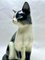 Porcelain Figurine Depicting Cat, 1960s 8