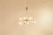 Mid-Century Italian Full Brass Sputnik Chandelier, 1950s 2