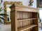 Wilhelminian Bookcase in Natural Wood 2