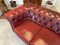 Vintage Oxblood Color Leather Sofa 14