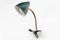 Lámpara de mesa Ukkie I Clamp de H. Busquet para Hala, años 50, Imagen 2
