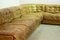 Olive Green Patched Leather DS11 Modular Sofa from de Sede, Switzerland, 1970s, Set of 6, Image 6
