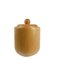 Italian Ice Bucket in Wood by Pietro Manzoni 1