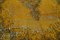 Großer gelber Overdye-Teppich 10