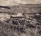 Hanna Seidel, Paysage, Photographie Noir et Blanc, Guatemala, 1960s 2