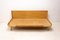 Mid-Century Folding Sofabed attributed to Chipboard, Czechoslovakia, 1970s 15