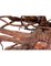 Raíz de acacia tallada que representa el espíritu de la naturaleza, Imagen 3