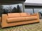 Brown Leather 3-Seater Sofa from Busnelli 10