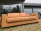 Brown Leather 3-Seater Sofa from Busnelli, Image 10