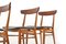Beech & Teak Dining Chairs, 1950s, Set of 4 7