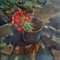 Kamsar Ohanyan, Field Poppies, 2022, Oil on Canvas, Image 1