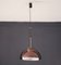 Lámpara de suspensión de vidrio de Gigi Radice para Goffredo Reggiani, 1964, Imagen 1