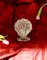 Lámpara de mesa Conchiglia Murano Shell atribuida a Barovier y Toso, Italia, años 40, Imagen 9