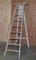 French Library Step Ladder, 1920s, Image 4