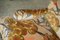 Sofá Howard con brazos Scroll de terciopelo de George Smith, Imagen 4