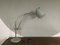 Desk Table Lamp by H. Th. J. A. Busquet for Hala, Netherlands, 1950s, Image 1