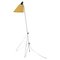 Floor Lamp attributed to Hurka for Napako, 1950s, Image 1