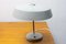 Mid-Century Desk Lamp, Czechoslovakia, 1960s, Image 8