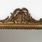 Louis XV Style Provencal Ornate Mirror 4