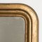 Large 19th Century Louis Philippe Mirror with Flowers 4