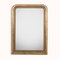 Large 19th Century Louis Philippe Mirror with Flowers 1