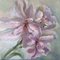 Elena Mardashova, Pink Rhododendron, Oil on Canvas, 2020 1