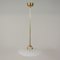 Swedish Satin Glass and Brass Botanical Pendant Light, 1940s, Image 4