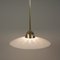 Swedish Satin Glass and Brass Botanical Pendant Light, 1940s 12