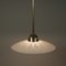 Swedish Satin Glass and Brass Botanical Pendant Light, 1940s, Image 9