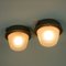 Maritime Sconces attributed to Holophane, France, 1950s, Set of 2 2