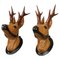 Carved Roe Deer Heads Wall Mounts, Germany, 1930s, Set of 2, Image 1