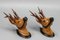 Carved Roe Deer Heads Wall Mounts, Germany, 1930s, Set of 2 3