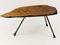 Large Mid-Century Walnut Tree Trunk Coffee Table attributed to Carl Auböck, 1950s 12