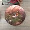 Decorative Сollectible Small World of Birds Wall Plates, Tirschenreuth, Germany, 1991, Set of 3 2