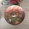 Decorative Сollectible Small World of Birds Wall Plates, Tirschenreuth, Germany, 1991, Set of 3, Image 2