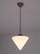 Lámpara colgante en forma de cono con altura de caída ajustable de Gispen, Países Bajos, años 50, Imagen 6